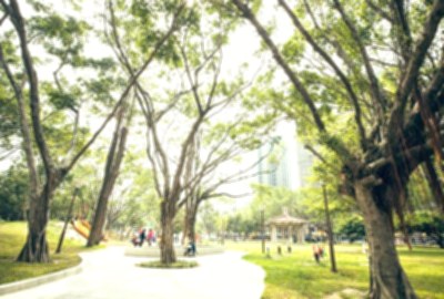 中央公園