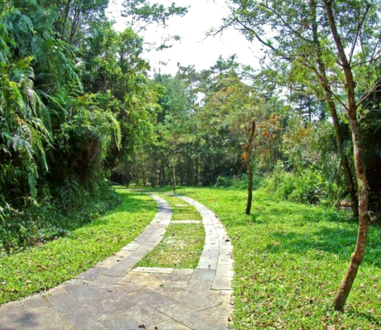松柏崙步道 / 挑鹽古道